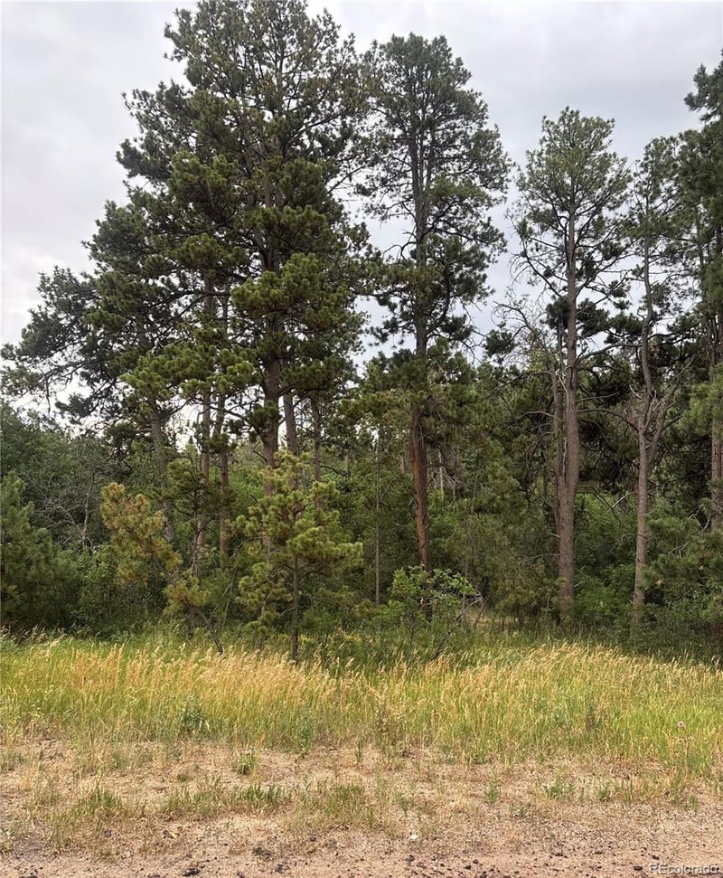 1455 Blueberry Hills Rd, Monument, CO 80132