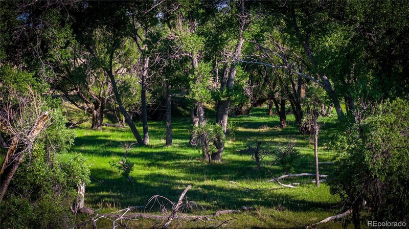 178 County Rd, Parker, CO 80138