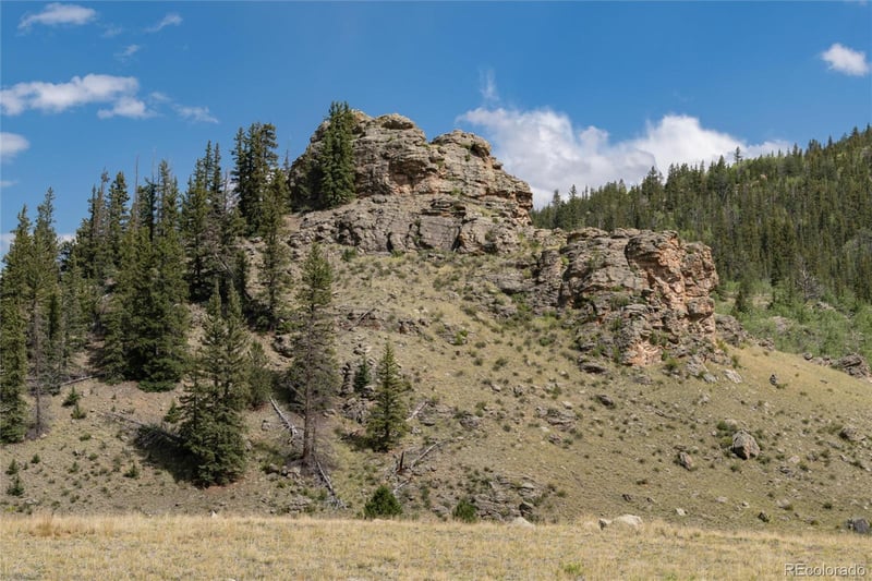 63 Welsh Cob Ln, Como, CO 80432