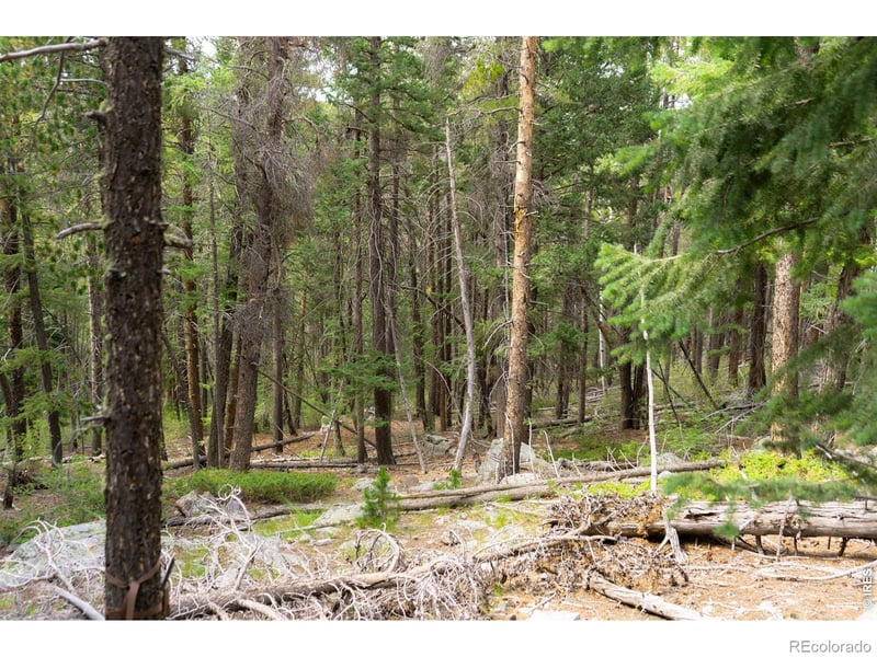 Twin Spruce Rd, Golden, CO 80403