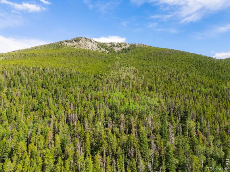 Twin Spruce Rd, Golden, CO 80403