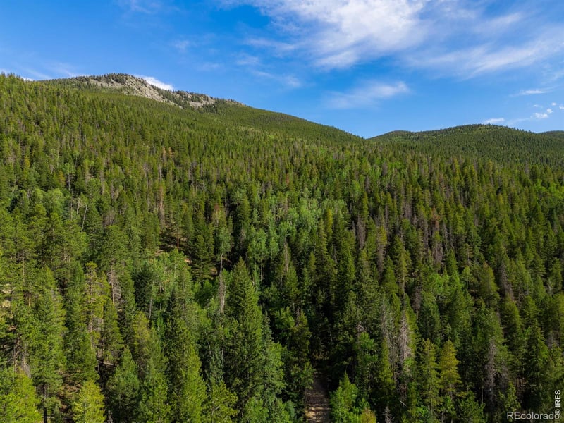 Twin Spruce Rd, Golden, CO 80403