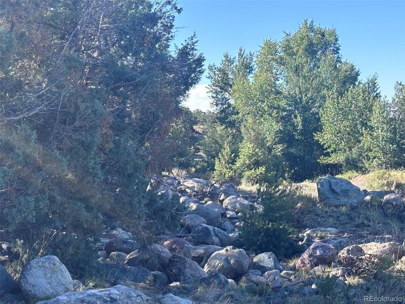 4333 Camino Baca Grande, Crestone, CO 81131