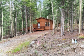 31 Aspen Loop Rd, Idaho Springs, CO 80452