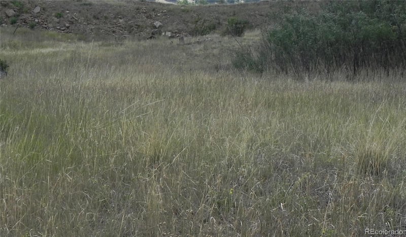 Lot 41-42 1st St, Cripple Creek, CO 80813