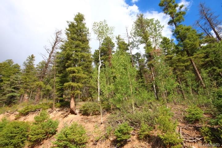 LOT 6078 Vreeland Rd, San Luis, CO 81152