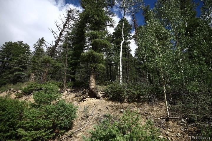 LOT 6078 Vreeland Rd, San Luis, CO 81152