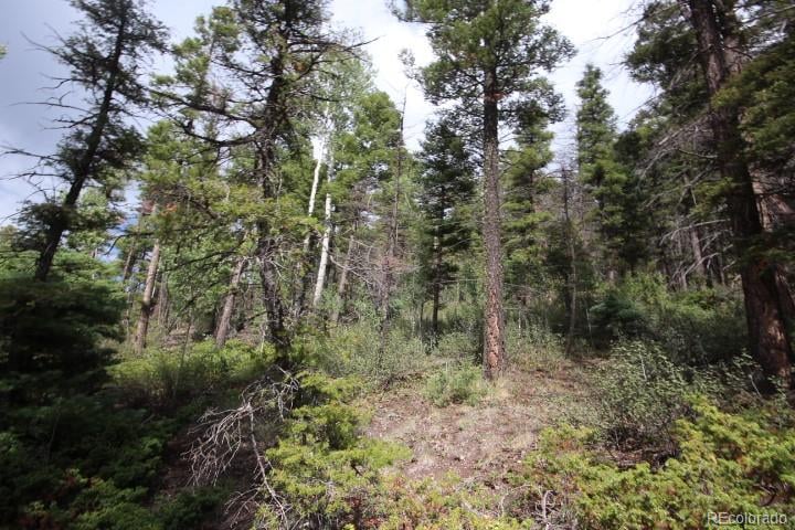 LOT 6078 Vreeland Rd, San Luis, CO 81152