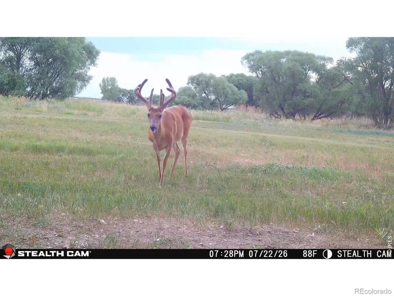 County Road 388, Kersey, CO 80644