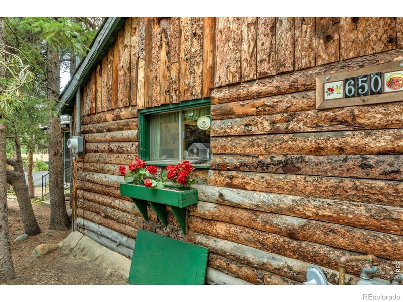 650 Pine St, Nederland, CO 80466