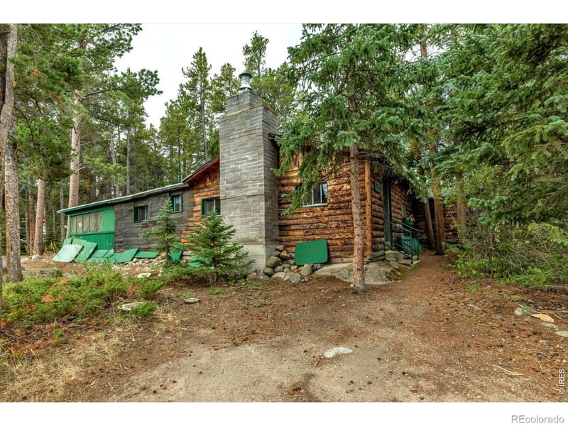 650 Pine St, Nederland, CO 80466