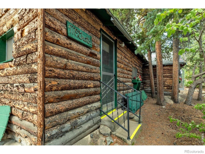 650 Pine St, Nederland, CO 80466
