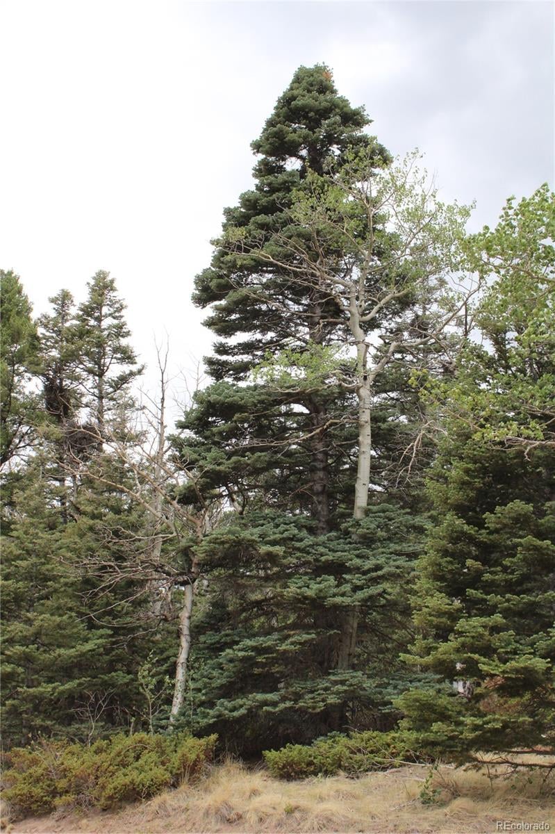 2874 Fery Loop Lot 2874, Fort Garland, CO 81133