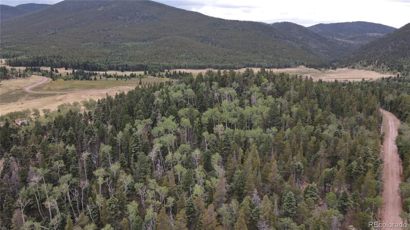 2874 Fery Loop Lot 2874, Fort Garland, CO 81133