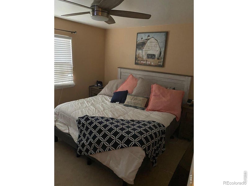 320 Lilac St, Milliken, CO 80543