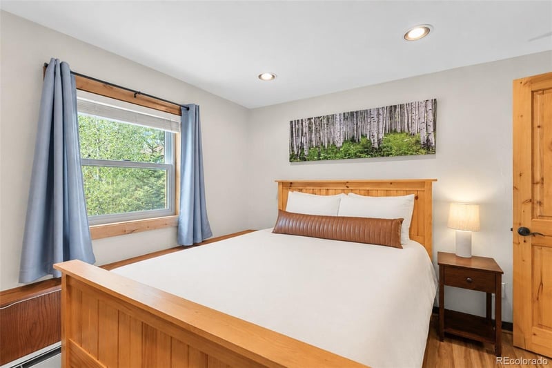216 Pitkin St #14, Frisco, CO 80443