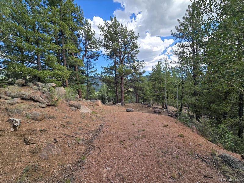 222 Blue Spruce Rd, Divide, CO 80814