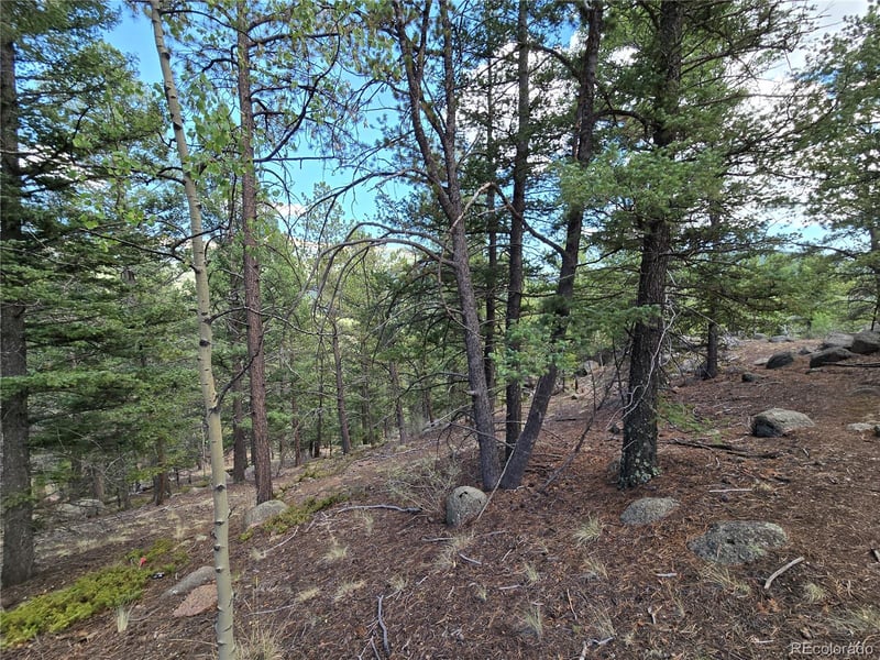 222 Blue Spruce Rd, Divide, CO 80814