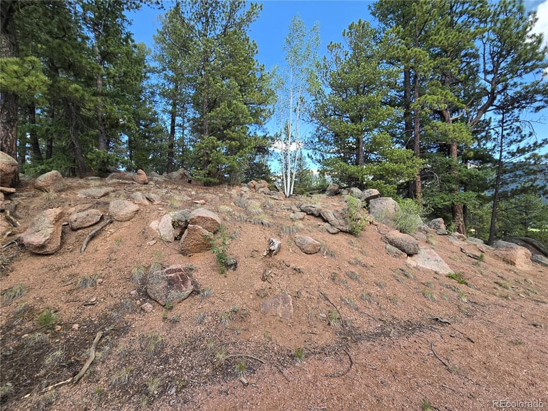 222 Blue Spruce Rd, Divide, CO 80814