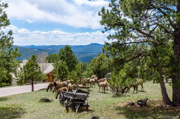 1644 Tamarac Dr, Golden, CO 80401