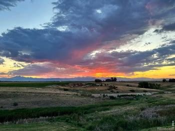 2528 White Wing Rd, Johnstown, CO 80534