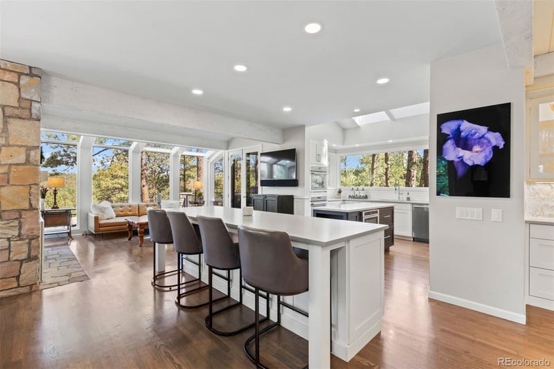 347 Silver Cloud Pl, Castle Rock, CO 80108
