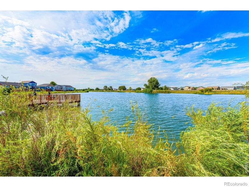 2005 Saddleback Dr, Milliken, CO 80543