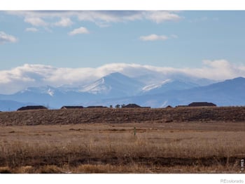2137 Honeybee Dr, Windsor, CO 80550