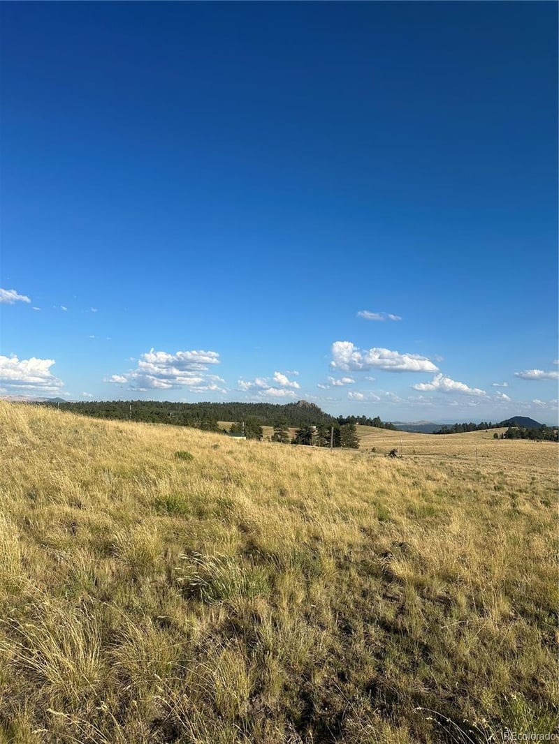 290 Castle Mountain Dr, Florissant, CO 80816