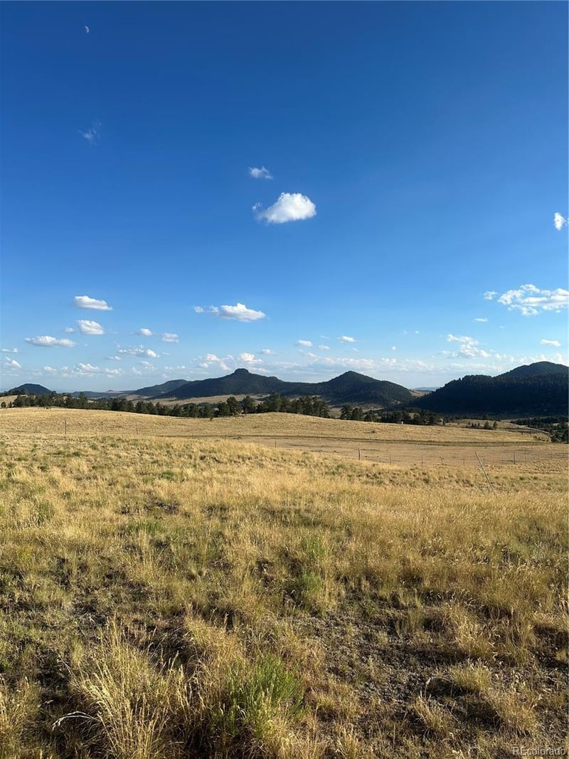290 Castle Mountain Dr, Florissant, CO 80816