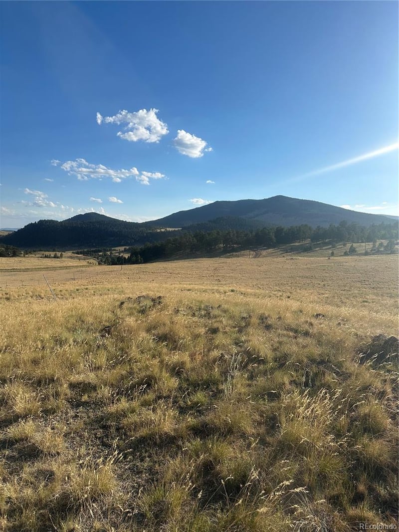 290 Castle Mountain Dr, Florissant, CO 80816