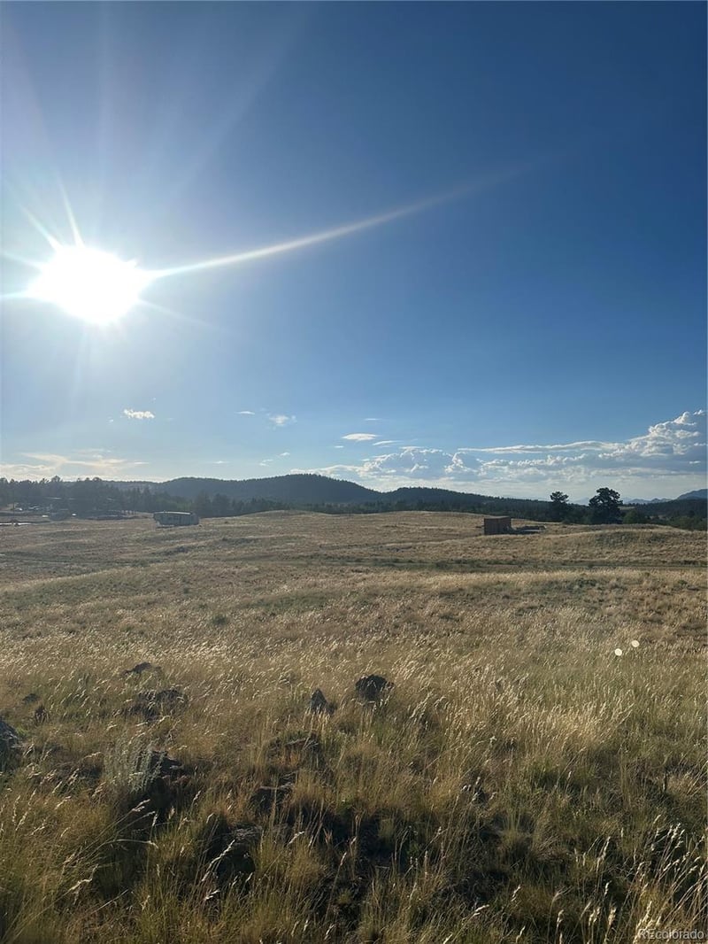 290 Castle Mountain Dr, Florissant, CO 80816
