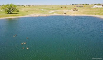 425 Wildflower Ct, Bennett, CO 80102