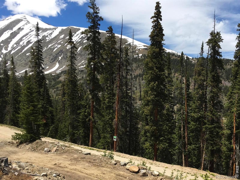 465 Quandary View Dr, Breckenridge, CO 80424
