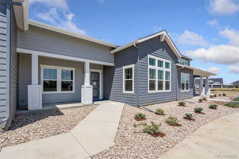 1613 Flourish Ct, Windsor, CO 80550