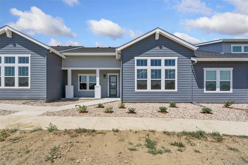 1613 Flourish Ct, Windsor, CO 80550