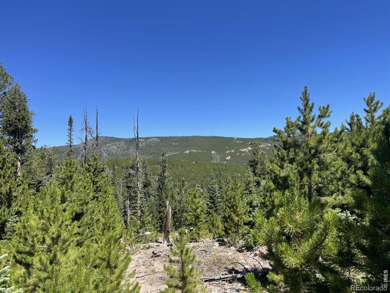 86 Natchez Cir, Red Feather Lakes, CO 80545