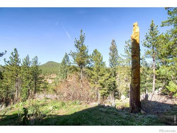 24 Farrell Dr, Black Hawk, CO 80422