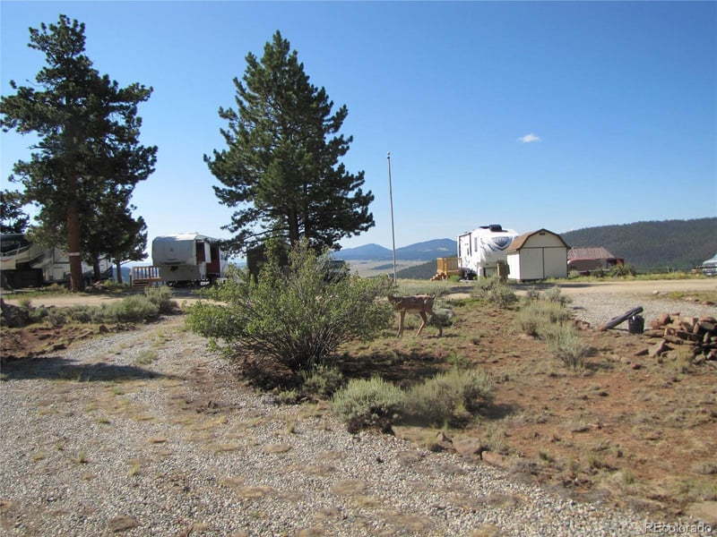 224 Lantern Loop, Hartsel, CO 80449