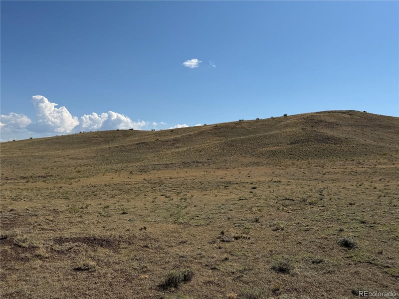 Cahokia Rd, Hartsel, CO 80449