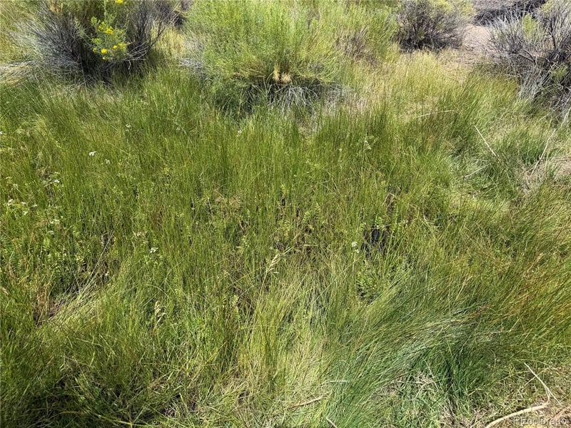 00 County Road South 6, Alamosa, CO 81101