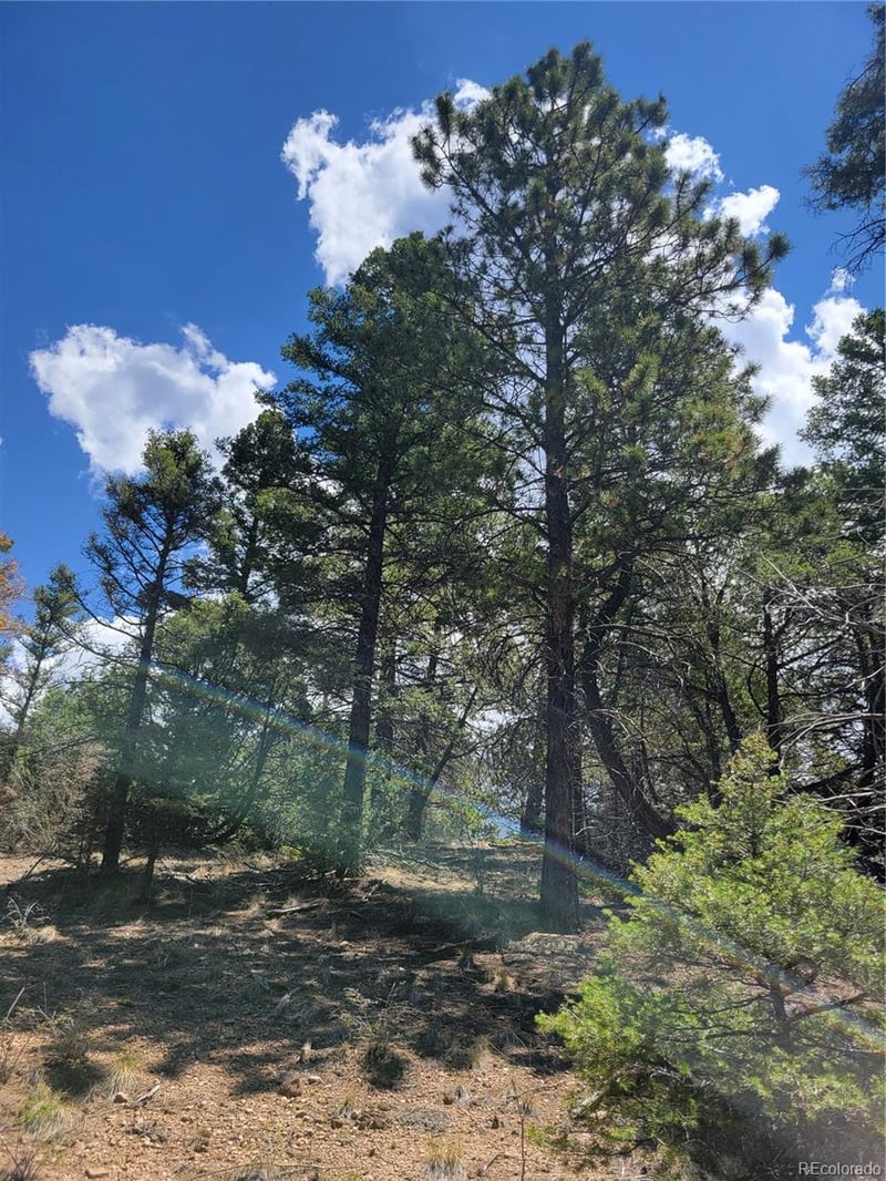 Lots 2716 - 2717 Sesame Rd, Fort Garland, CO 81133