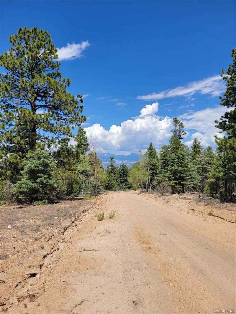 Lots 2716 - 2717 Sesame Rd, Fort Garland, CO 81133