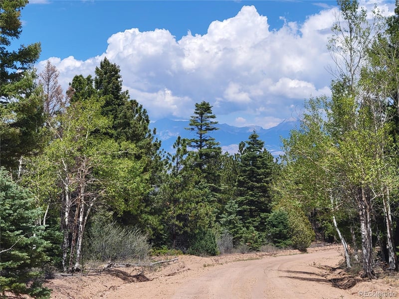 Lots 2716 - 2717 Sesame Rd, Fort Garland, CO 81133