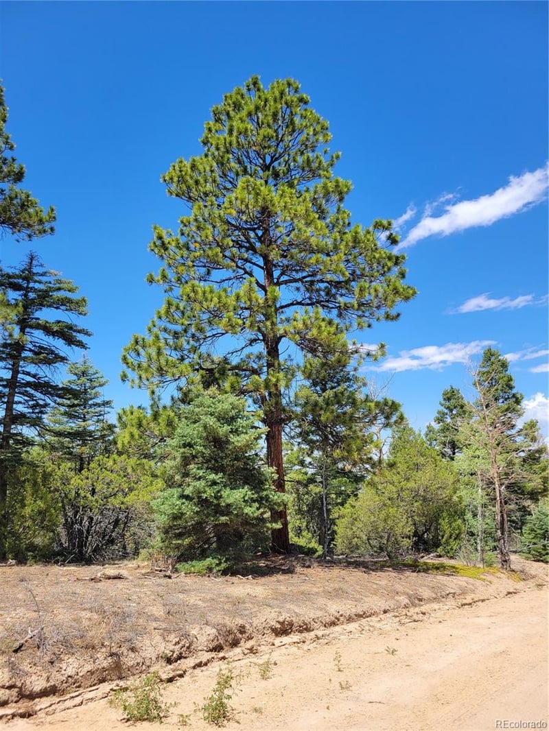 Lots 2716 - 2717 Sesame Rd, Fort Garland, CO 81133