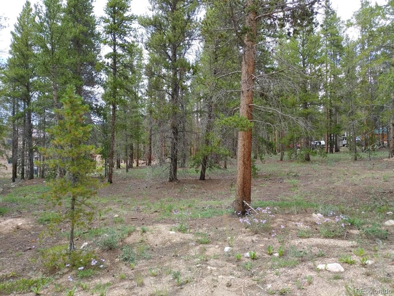 813 Topaz St Lot 9, Leadville, CO 80461