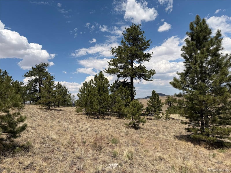 832 Ahlers Ln, Hartsel, CO 80449