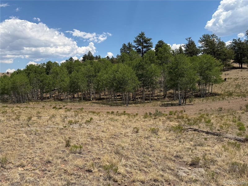 832 Ahlers Ln, Hartsel, CO 80449