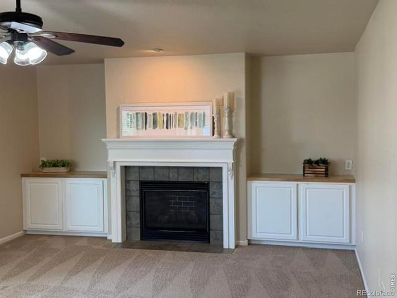 894 Durum St, Windsor, CO 80550