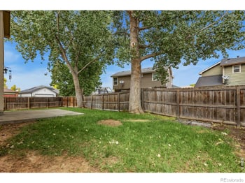 894 Durum St, Windsor, CO 80550